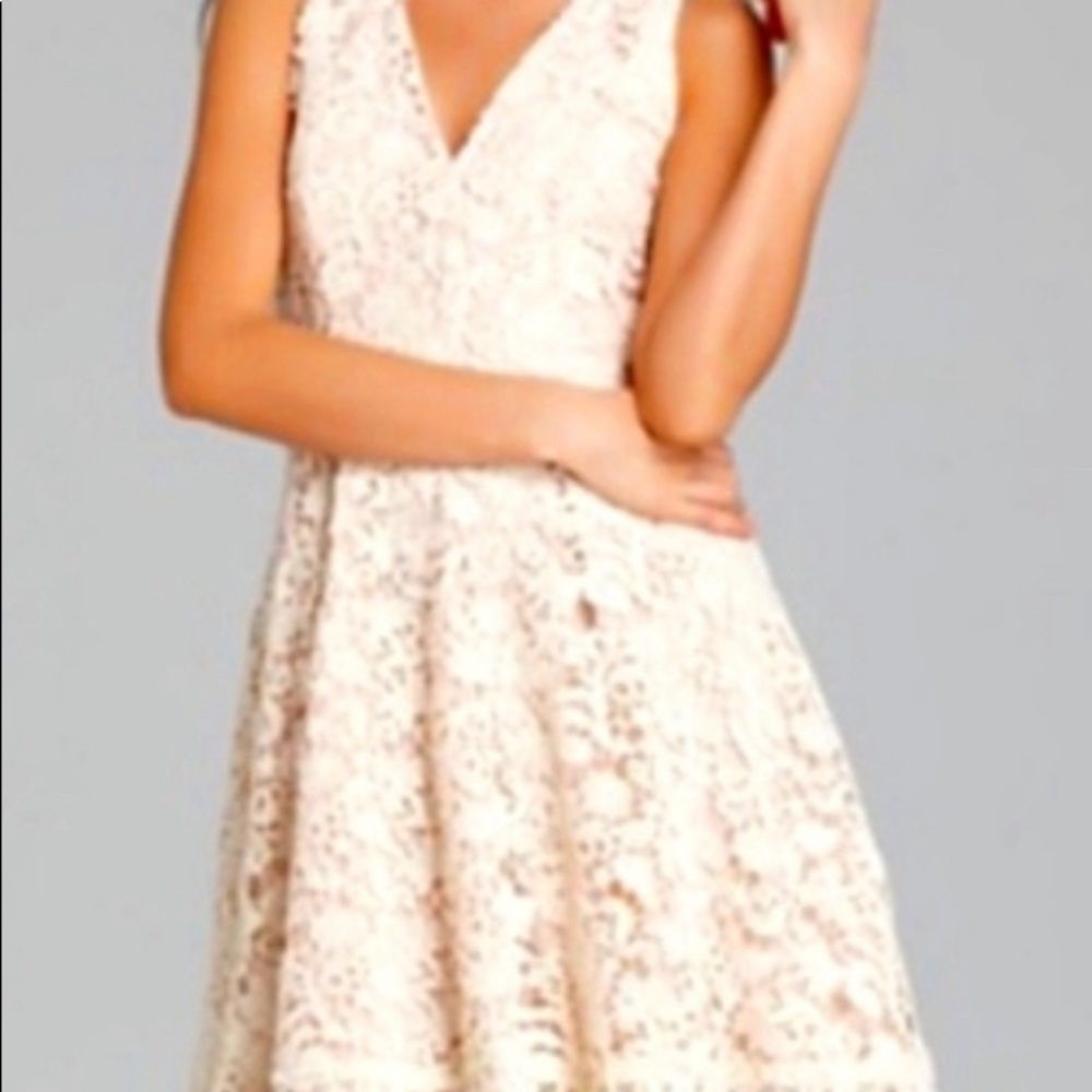 French connection lace dress